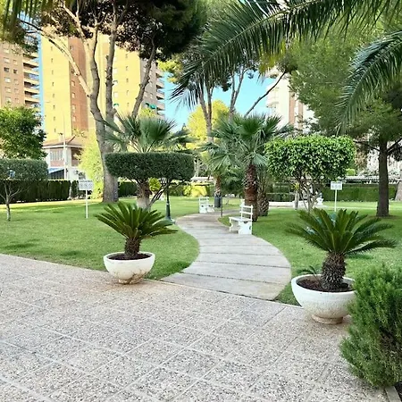 Apartment Campoamor Edificio Rhin